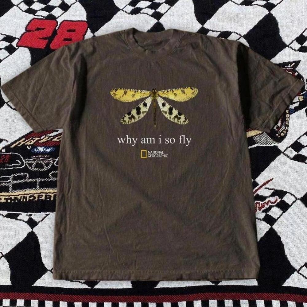 Gildan Brown T Shirt National Geographic Brown T Shirt